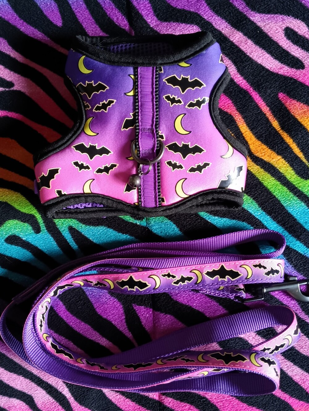 💜🩷 Thrills & Chills Glow In Dark Halloween Kitten Harness Leash Bats Bat Moon